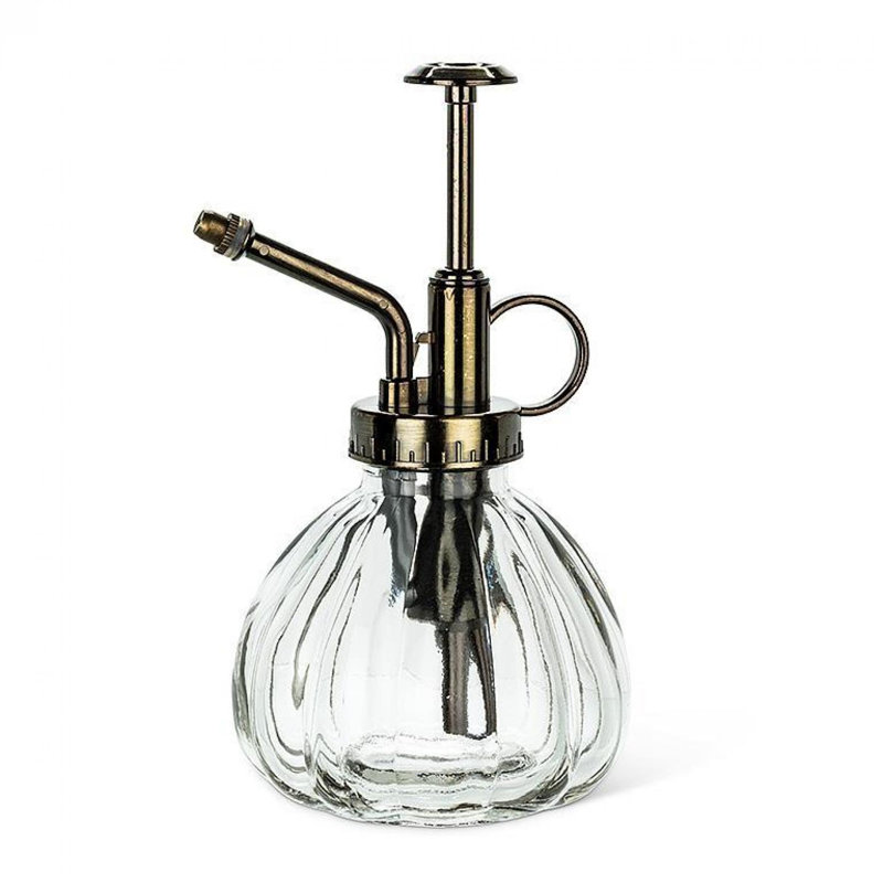 Bouteille transparente pour plantes