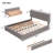Upholstered Platform Bed-900703748