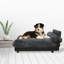 Lit orthopédique pour animaux Mid-Century-1932509638-1953814889