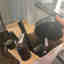 Photos des clients 2 de 2