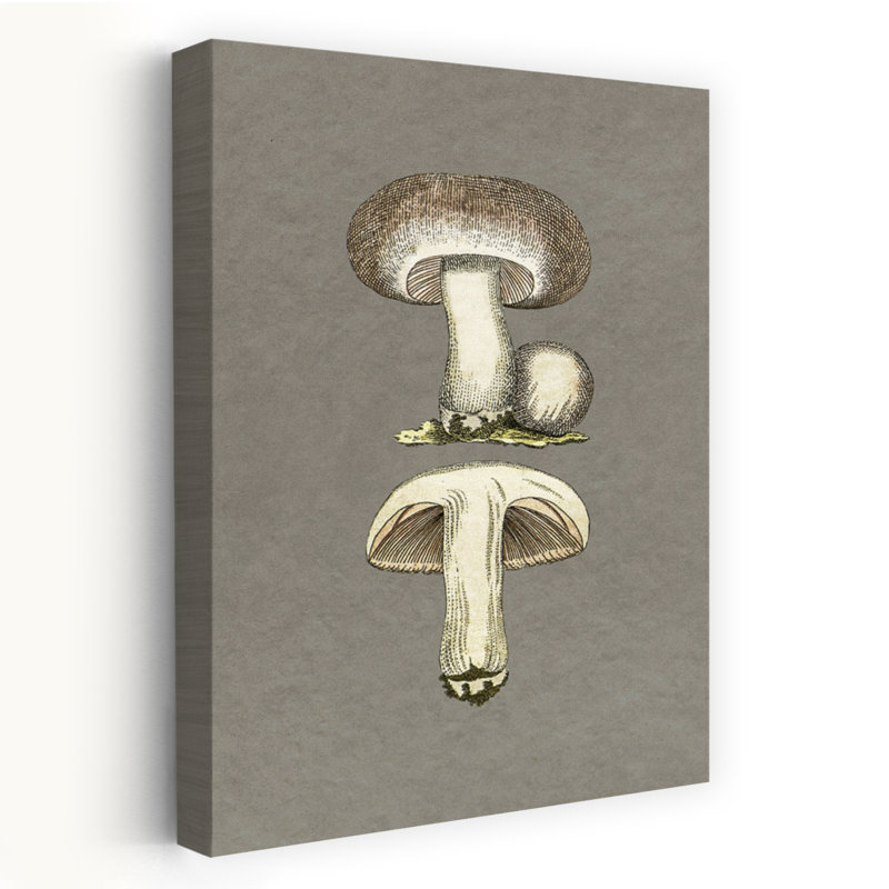 Field Mushroom Retro Rustic Vintage Landscape Nature Wall Art Print 1 Piece Wrapped Canvas Wall Art, 91.44cm H x 60.96cm W
