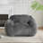 Sezze Indoor Bean Bag Chair