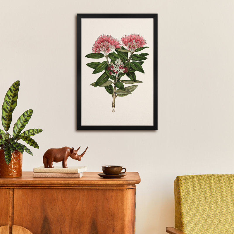 Pohutukawa Metrosideros Tomentosa - reproduction d'art mural - affiche de galerie, H 32 po x l 24 po