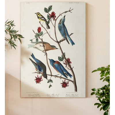 Reproduction d’art sur toile « pl 393 Townsend »
