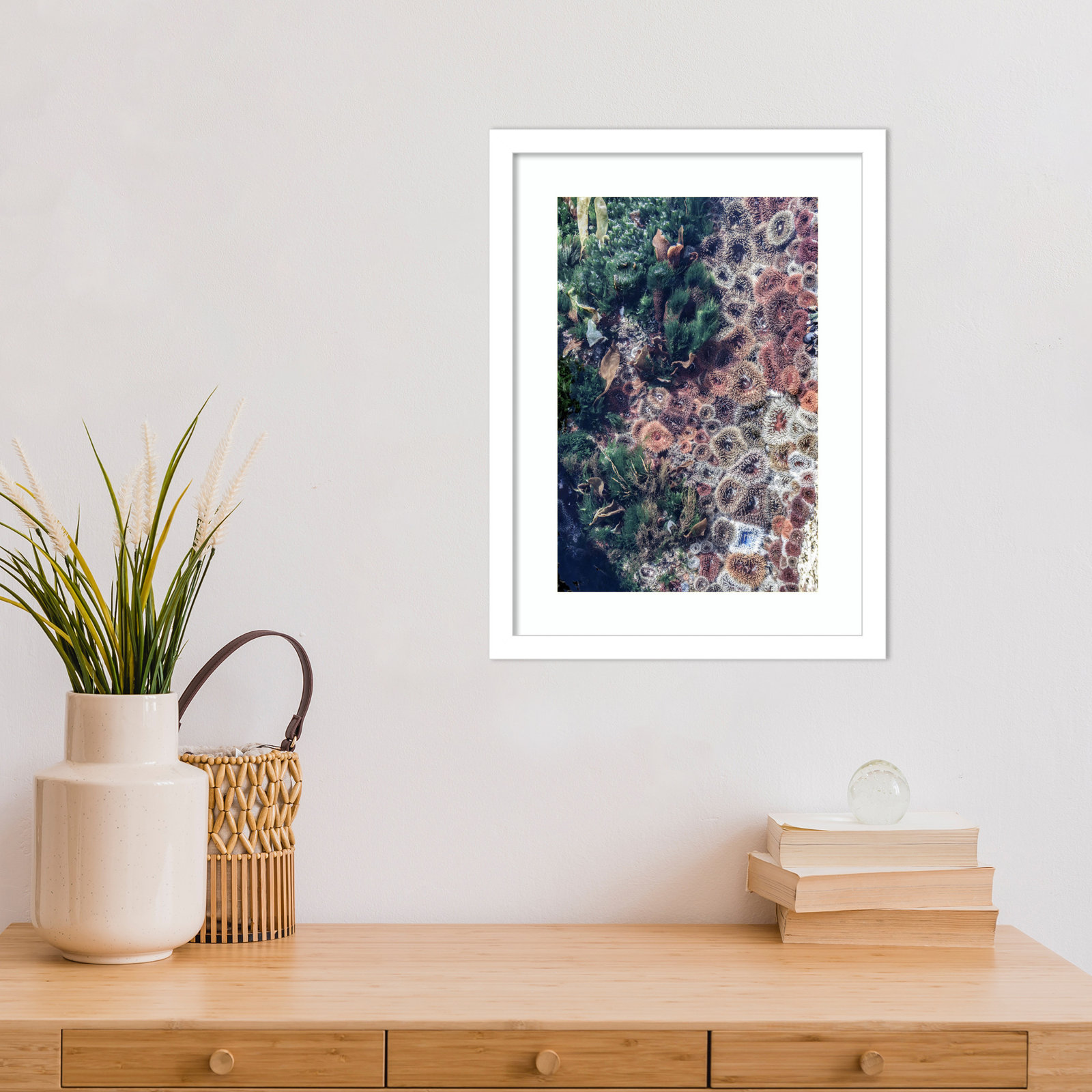 Daisey "Ocean Curiosities" Print, White, 17" H x 13" W