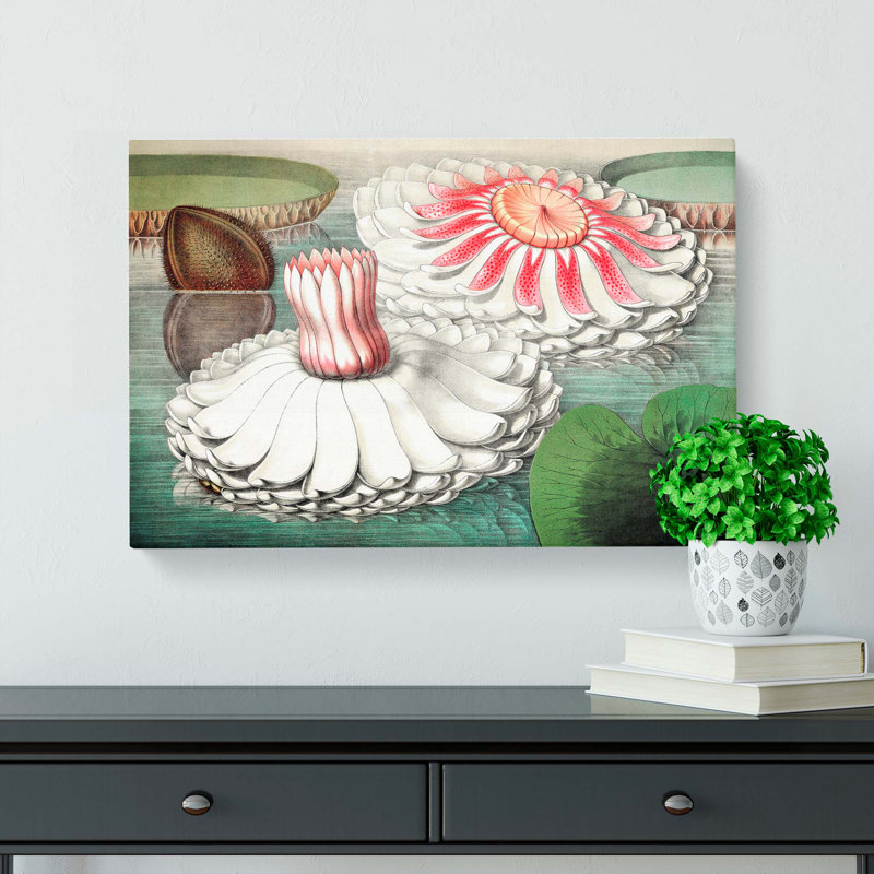 Blooming Gigantic Water Lily by William Sharp - Wrapped Canvas Painting, 50cm H x 76cm W x 3cm D