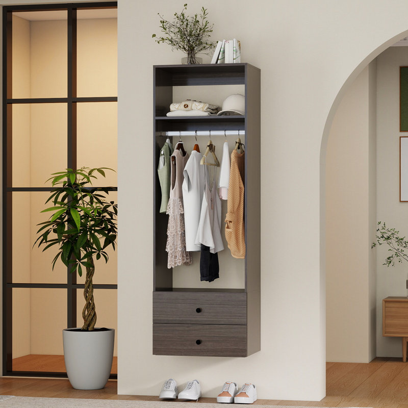 Aparna 23.4'' Closet System, Dark Brown