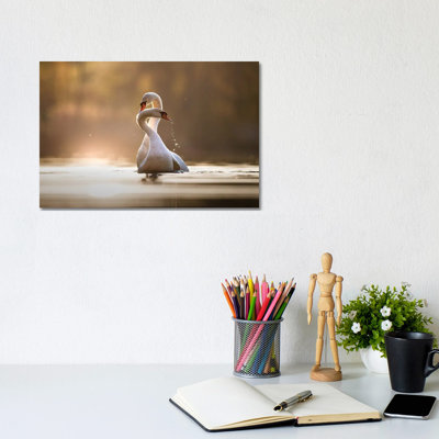 Affection 1 Piece Wrapped Canvas Wall Art