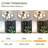 Chimel 33'' Ceiling Fan with 6 LED Lights