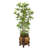54 " H Faux Palm Tree