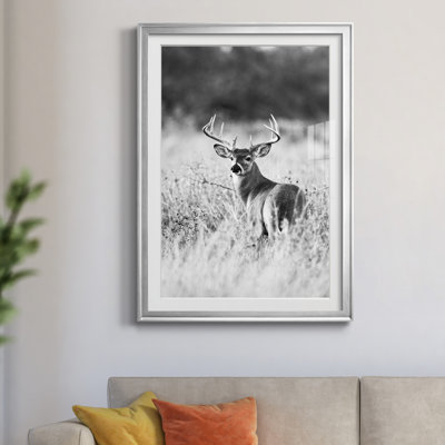 «Grasslands» par Danita Delimont - reproduction d'art sur papier encadrée