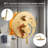 10" Brushed Gold Wall Mounted Dual Function Shower System With Rough-In Valve, Rainfall Head And Handheld-123107262
