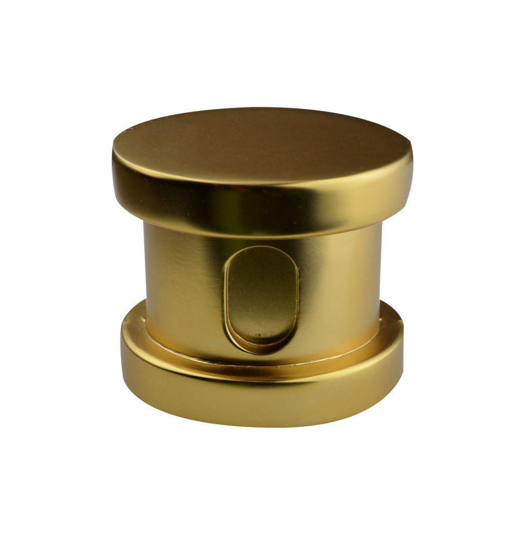 Steam Generator Part Or Accessory Steam Spa Finish: Gold