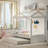 Aucuba Bed-273596210