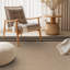 Tapis d'intérieur tissé à la machine Bolk-129908122-129908144
