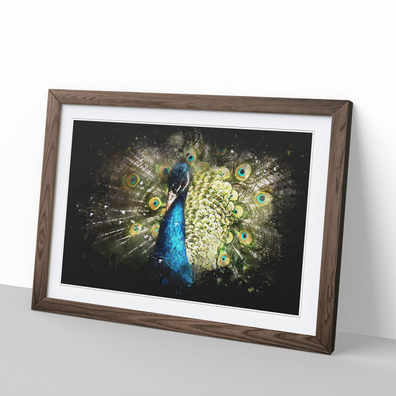 Peacock Vol.2 - Picture Frame Graphic Art, Walnut Framed, 65cm H x 90cm W x 2cm D