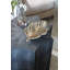 Table de bout Medici-1854607516