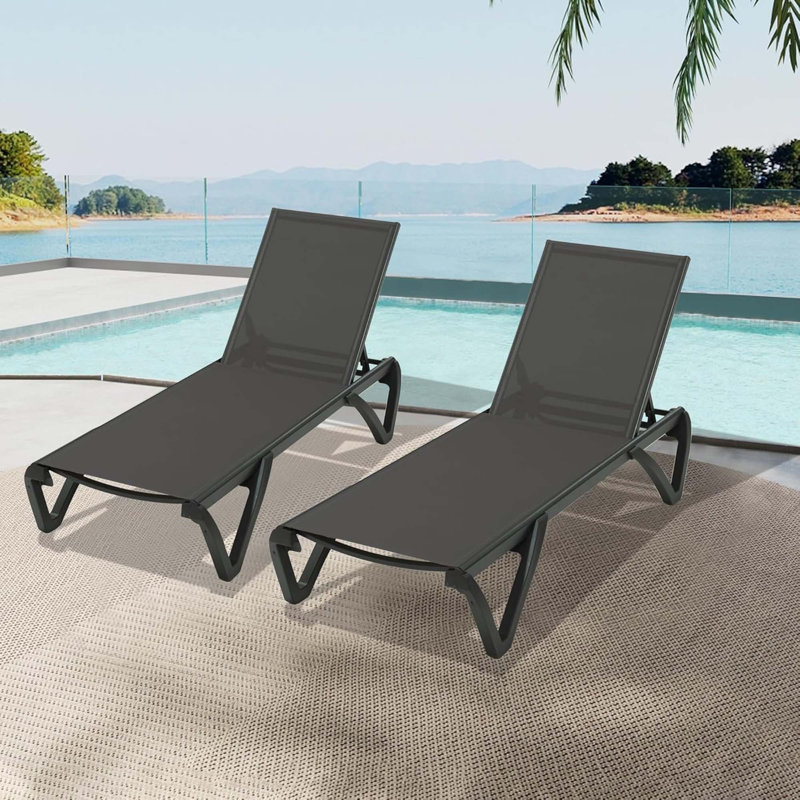Outdoor Lounge Chair, 2 Pieces Aluminum Plastic Patio Chaise Lounge With 5 Position Adjustable Backrest, Dark Gray