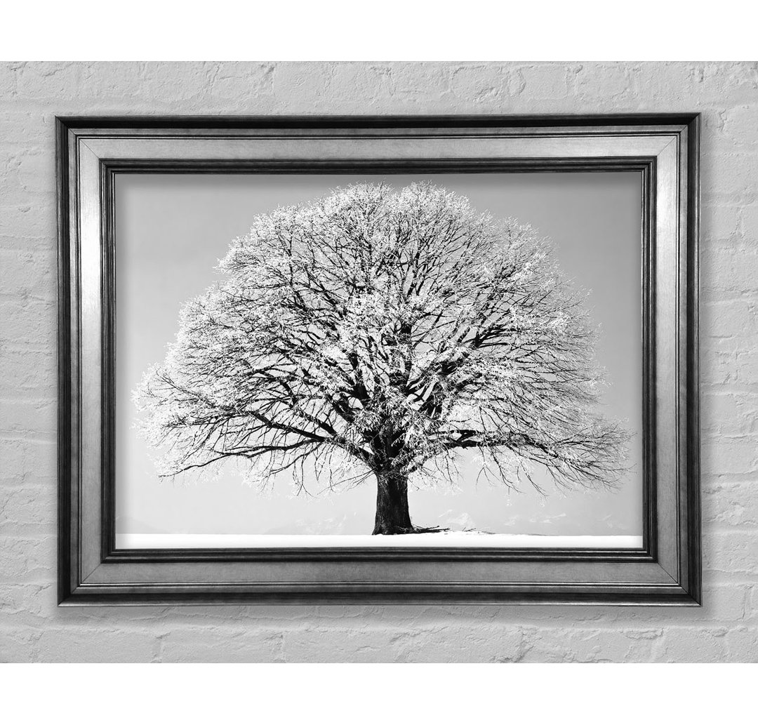 Winter Snow Tree B N W - Einzelner Bilderrahmen Kunstdrucke