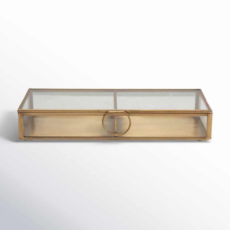 Brass and Glass Display Box with Two Compartments