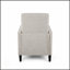 Fauteuil inclinable avec mécanisme d'inclinaison en douceur, parfait pour la détente et le confort dans n'importe quelle pièce-699514672