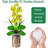 4inch 5 Pack Nursery Pots For Plant Thicken Plastic Orchid Pots With Drainage Holes-1063572515