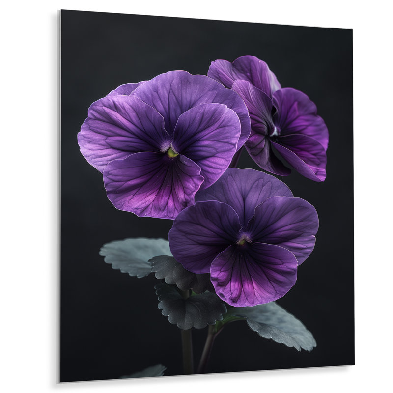 «Roush - Pansies», reproduction d'art murale, H 12 po x l 20 po, Sans cadre