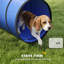 Dog Agility-124016485