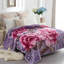Couverture pour lit moelleux à 2 plis JML, couverture de style coréen en vison 5 lb-398391038-372554295