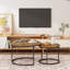 Ensemble de 2 tables basses gigognes