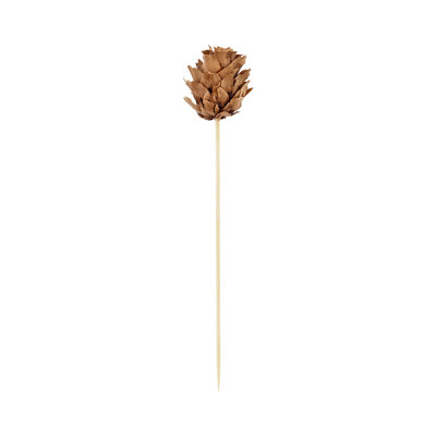 Bamboo Picks