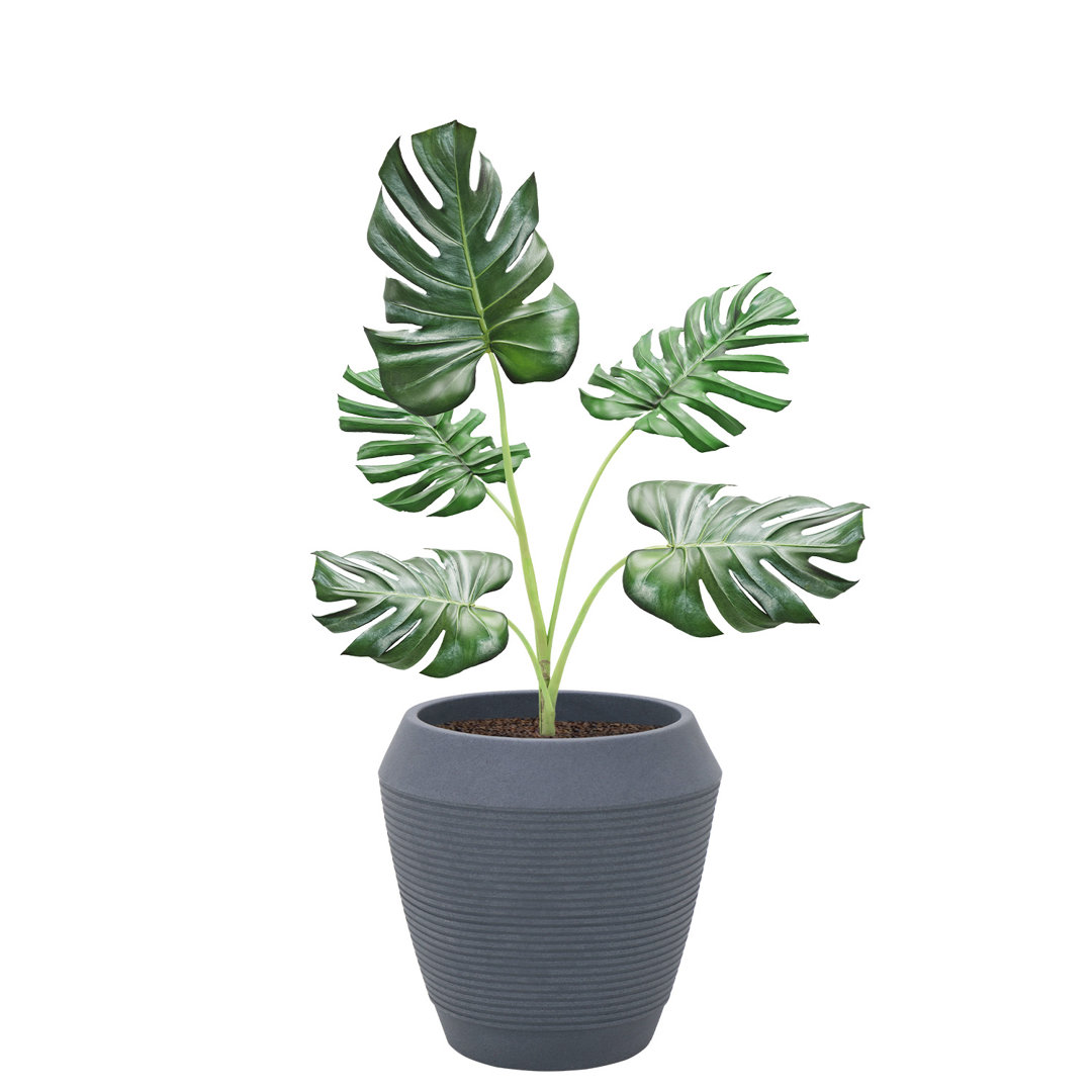Pot Planter