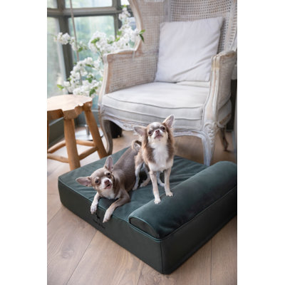  Lit orthopédique pour chien géant XXL, mousse viscoélastique infusée de gel rafraîchissant, imperméable, lavable à la machine, avec housse intérieure (similicuir)