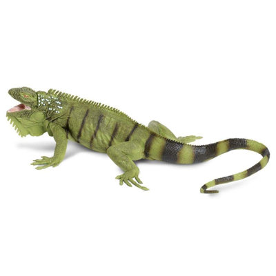 Iguane