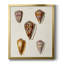 Toile encadrée de qualité supérieure Cone Shell Collection VI - prête à être accrochée-1162769908-1162769906