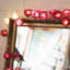 Dov LED Natural Leaf Rose String Light-89691164