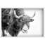 «Buffalo Vers l'avant» par Marmont Hill-33702589-33702597