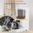 Smart Automatic Cat Feeder with Camera & 2-Way Audio