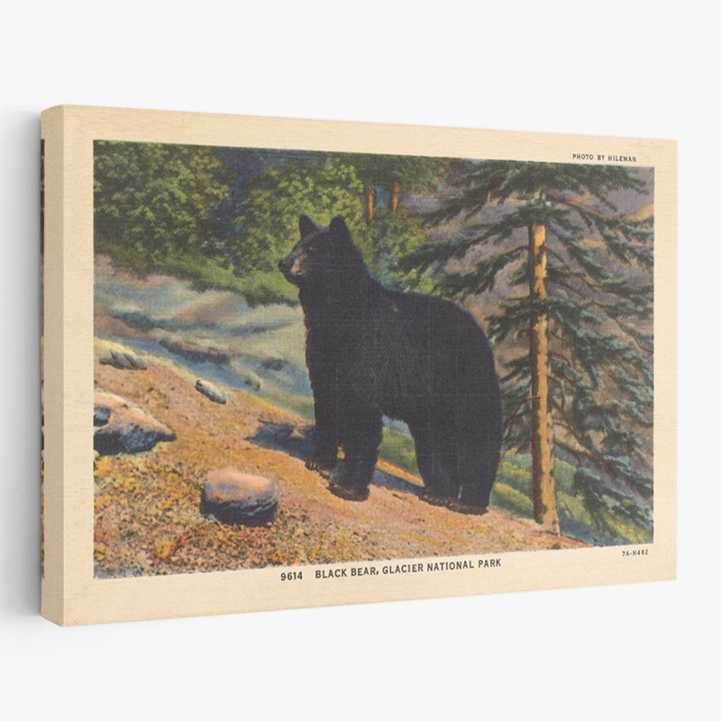 Black Bear I - 0 Art, 32" H x 48" W