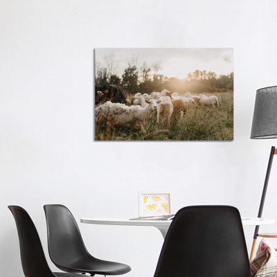 «Sheep in the Field» par Chelsea Victoria - photographie sur toile tendue
