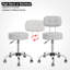 Tabouret de laboratoire à hauteur ajustable-66825747