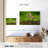 Finch-799902725