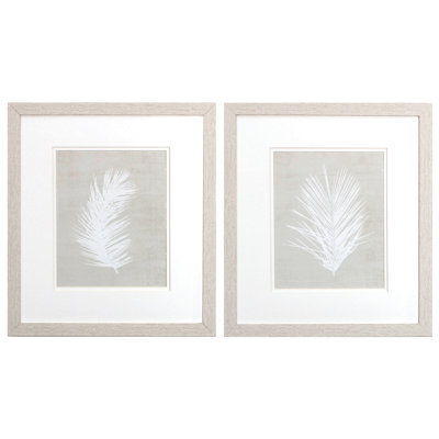 Palm Oasis / 2