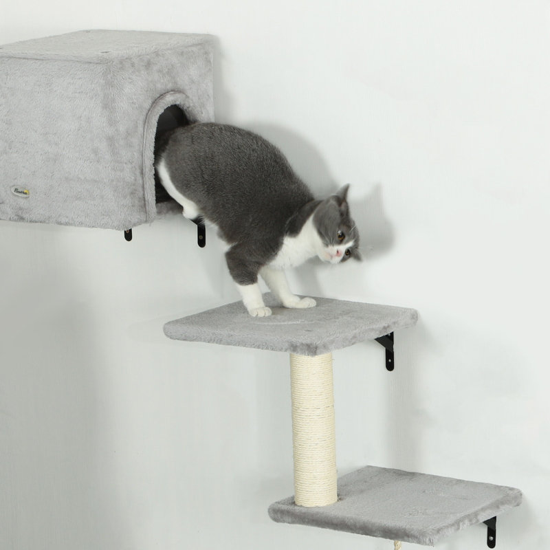 Cat Perch
