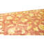 Hand Knotted Area Rug in Rust