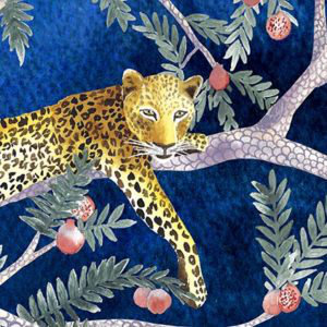 Quinnipiac Velvet No Pattern Bedspread