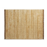 Fancy Area Rug in Gold/Brown
