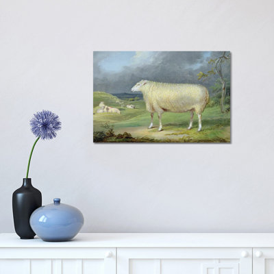 A Border Leicester Ewe by James Ward - Wrapped Canvas Painting