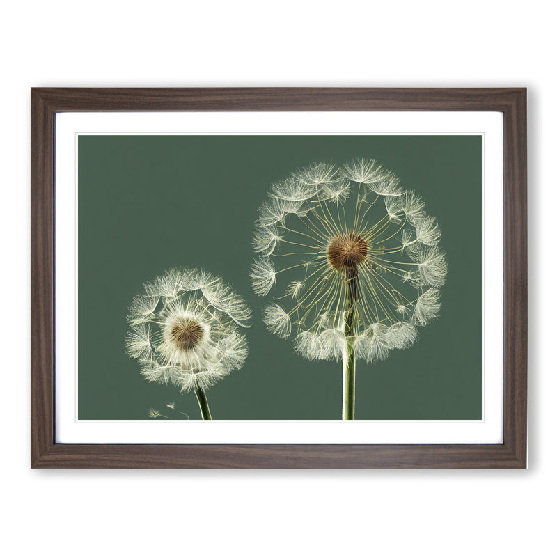 Ethereal Dandelion Flowers - Framed Print, 34cm H x 46cm W x 2cm D, Walnut
