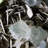 Landscape & Nature Crystal